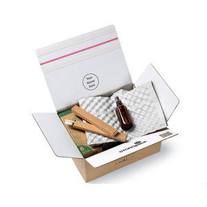Luftkissen-Schutzverpackung 1