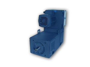 Gleichstrommotor