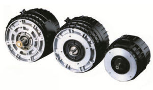 bürstenbehafteter Servomotor 1