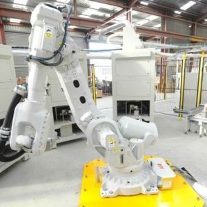 automatisches Probenvorbereitungssystem