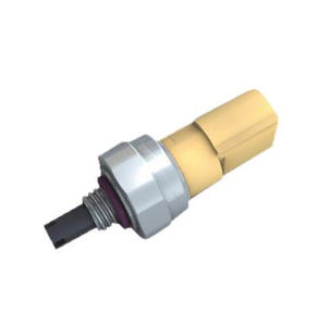 Drucksensor mit Temperatursensor