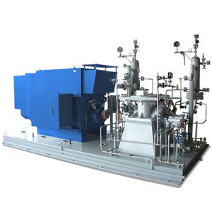 Kreiselpumpe