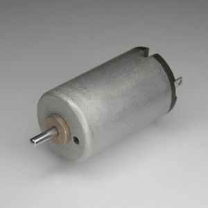 bürstenbehafteter Motor