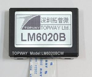 LCD-Displaymodul 1