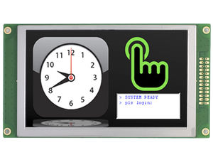 Displaymodul / TFT LCD 1