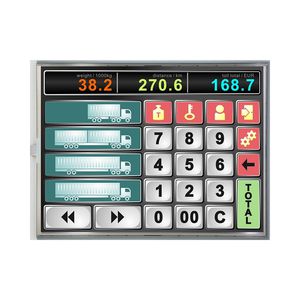 Displaymodul / TFT LCD 1