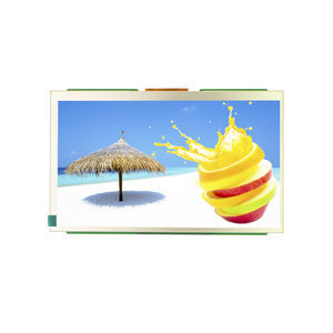 Displaymodul / TFT LCD 1