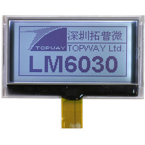 LCD-Display 1