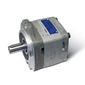 Innenzahnrad Hydraulikpumpe
