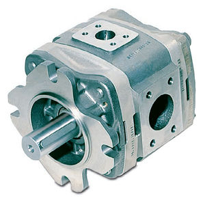 Innenzahnrad Hydraulikpumpe