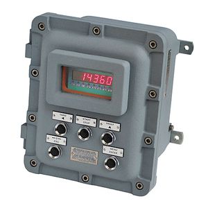 LED-Display-Wägeindikator 1