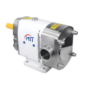 Drehkolbenpumpe