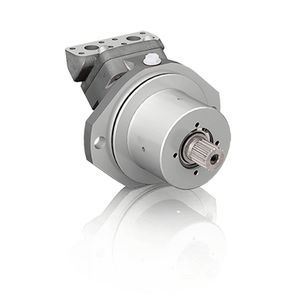 Axialkolben-Hydraulikmotor 1