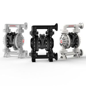 Doppelmembranpumpe 1