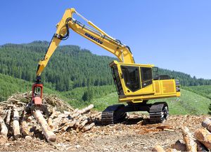 Holzerntemaschine auf Raupen