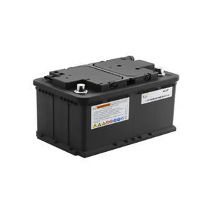 Lithium-Eisenphosphat-Batterie 1