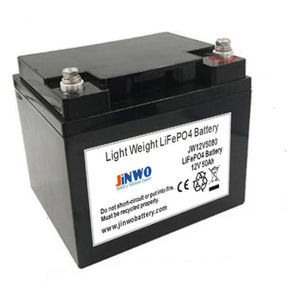LiFePO4-Batterie