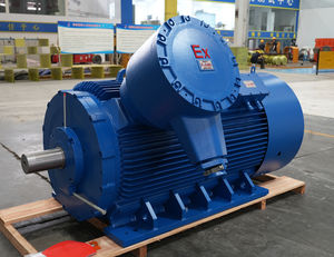 ex-geschützter Motor