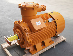 ex-geschützter Motor