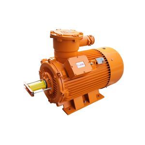 ex-geschützter Motor