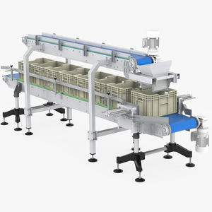 Zähl- und Verpackungsmaschine für Verpackung 1