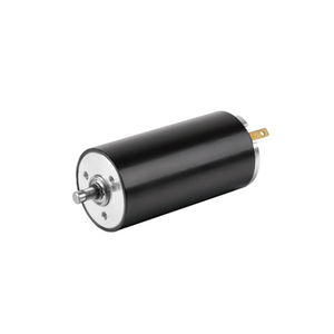 bürstenbehafteter Motor