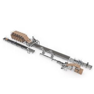 Verpackungsanlage für Karton 1