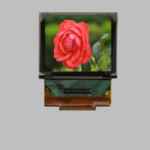 OLED-Displaymodul 1