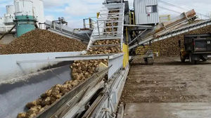 Zuckerproduktionsanlage 1