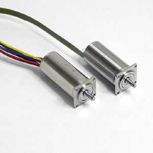 bürstenloser Motor 1
