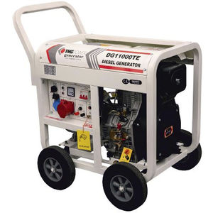 Diesel-Stromaggregat 1