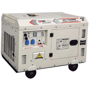 Diesel-Stromaggregat 1