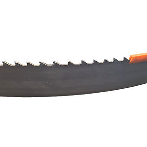 Sägeband 1