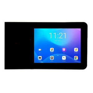 IPS-Displaymodul