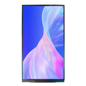 IPS-Displaymodul