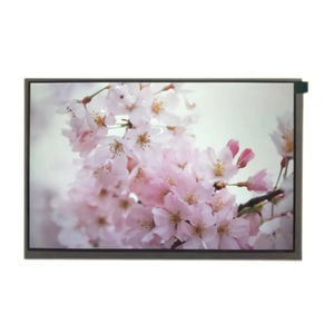 Displaymodul / TFT LCD