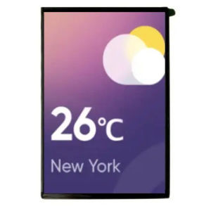 Displaymodul / TFT LCD