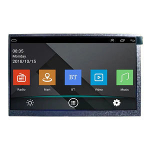 Displaymodul / TFT LCD