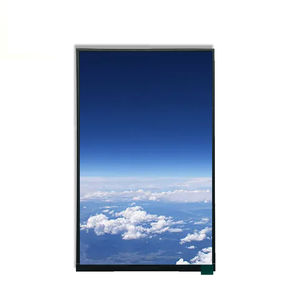 Displaymodul / TFT LCD
