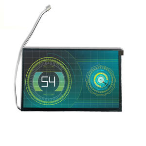 Displaymodul / TFT LCD