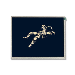 Displaymodul / TFT LCD