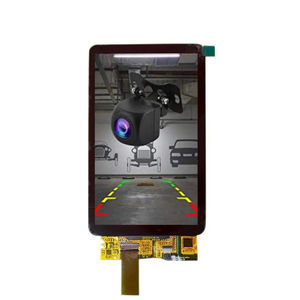 IPS-Displaymodul
