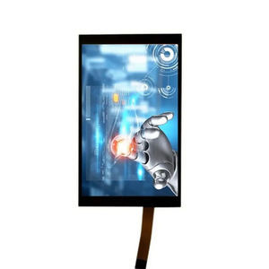 Displaymodul / TFT LCD