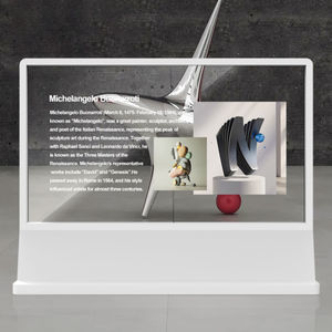 OLED-Displays