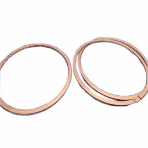 Dichtungsring für Lager