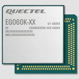 Wireless-Modul / LTE 1