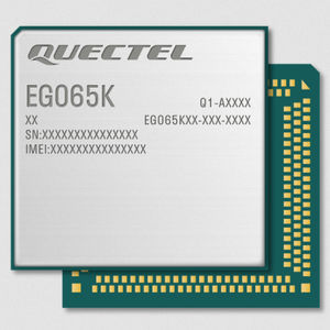 Wireless-Modul / LTE 1