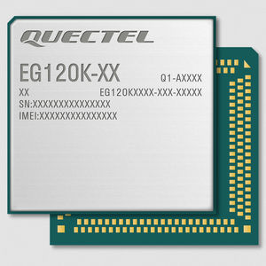 Wireless-Modul / LTE 1
