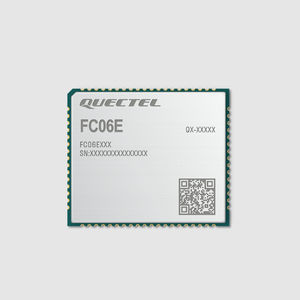 WIFI-Modul / Bluetooth 1