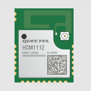 WIFI-Modul / Bluetooth 1